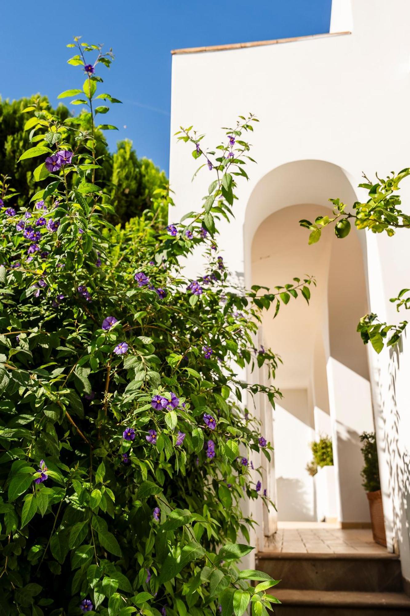 Hotel Senaria Anacapri  Dış mekan fotoğraf